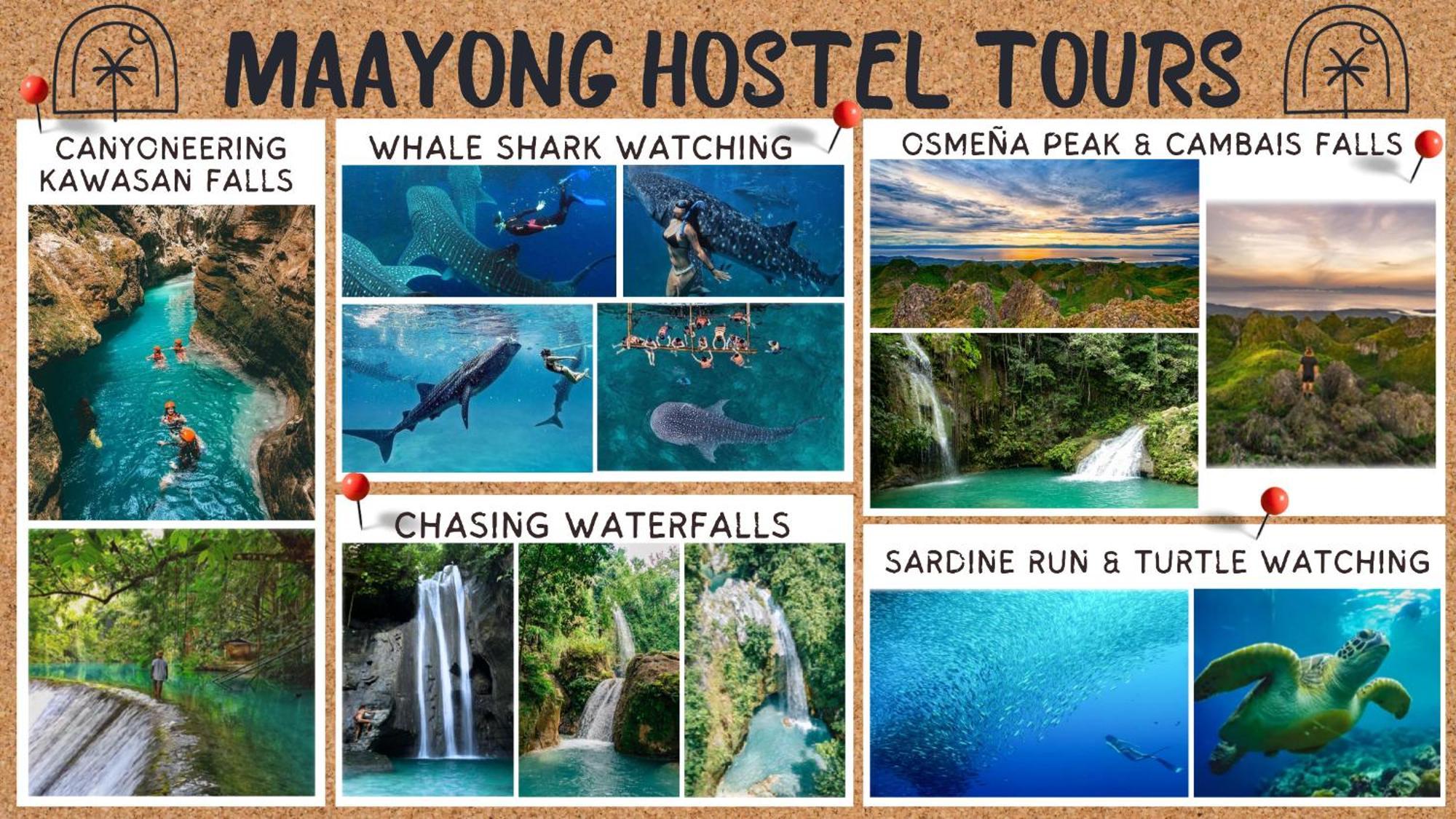 Maayong Hostel (Adults Only) โมอัลโบอัล ภายนอก รูปภาพ